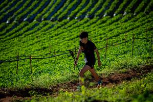 BIB: 
                            <button type="button" onclick="openModal(19160680)" class="btn btn-primary btn-sm float-right btn-popup" data-toggle="modal" data-target=".modal-high-quality">
                        <i class="fas fa-shopping-cart"></i> Add to Cart
                    </button>
                                            <button type="button" onclick="isThisMe(19160680, true)" class="btn btn-success btn-sm float-right btn-popup btn-isme hidden" data-toggle="tooltip" data-placement="bottom" title="นี่คือรูปของคุณใช่ไหม คลิกที่นี่เพื่อเอาเข้าอัลบั้ม">
                        <i class="fas fa-plus"></i> Add to album
                    </button>
                    <button type="button" onclick="isThisMe(19160680, false)" class="btn btn-warning btn-sm float-right btn-popup btn-isnotme hidden">
                        <i class="fas fa-ban"></i> Remove from album
                    </button>